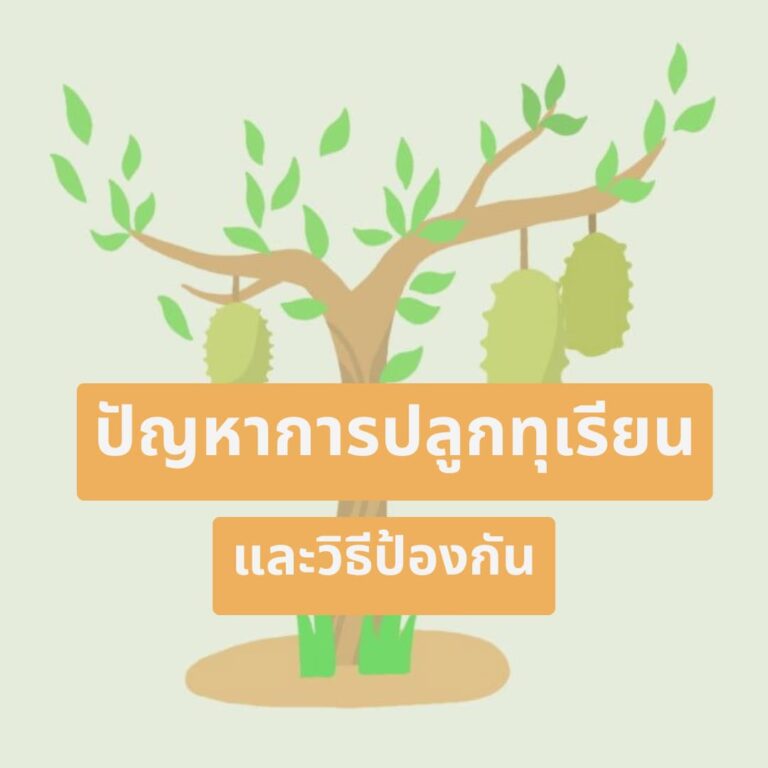 ปัญหาทุเรียนไม่ออกดอก