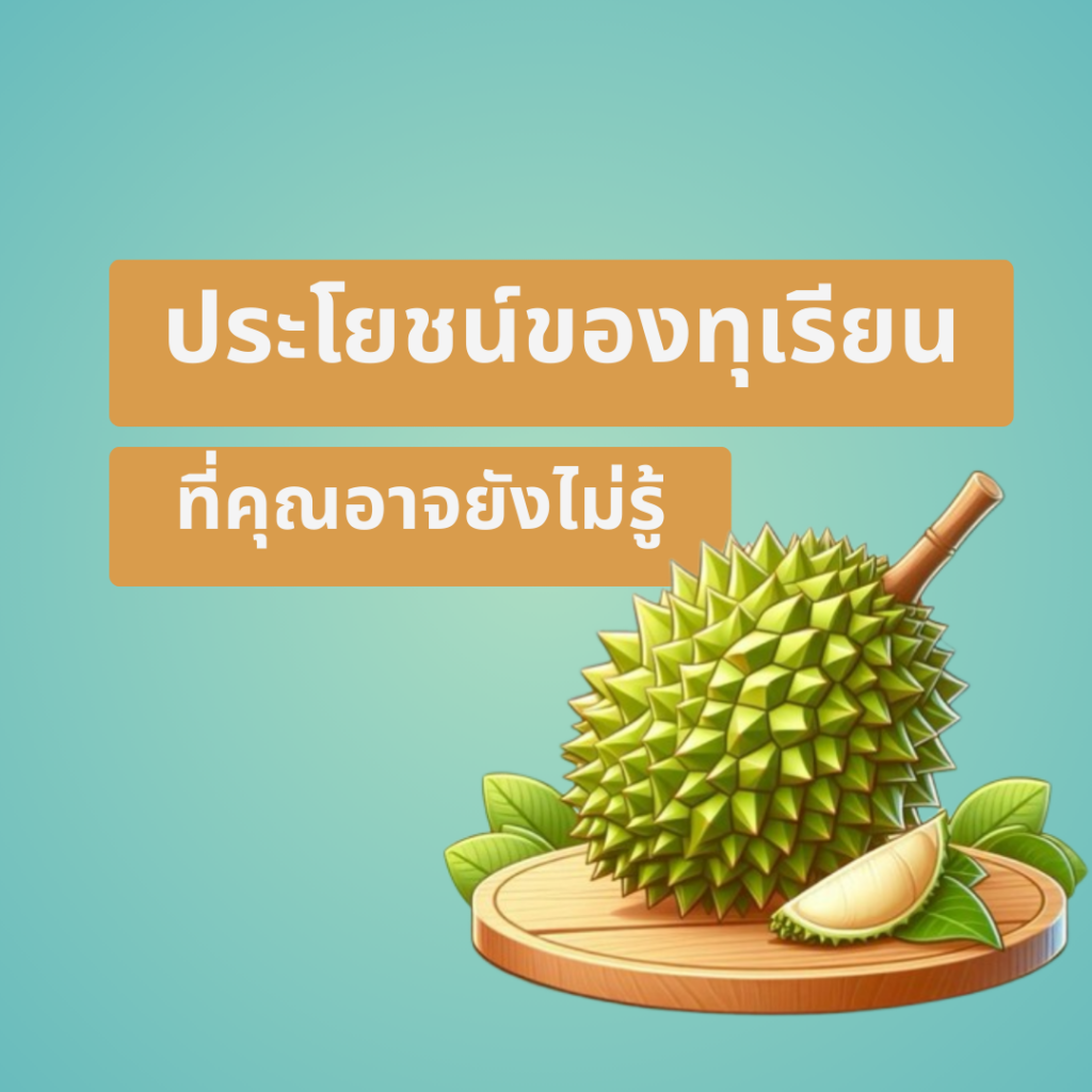 ประโยชน์ทุเรียน