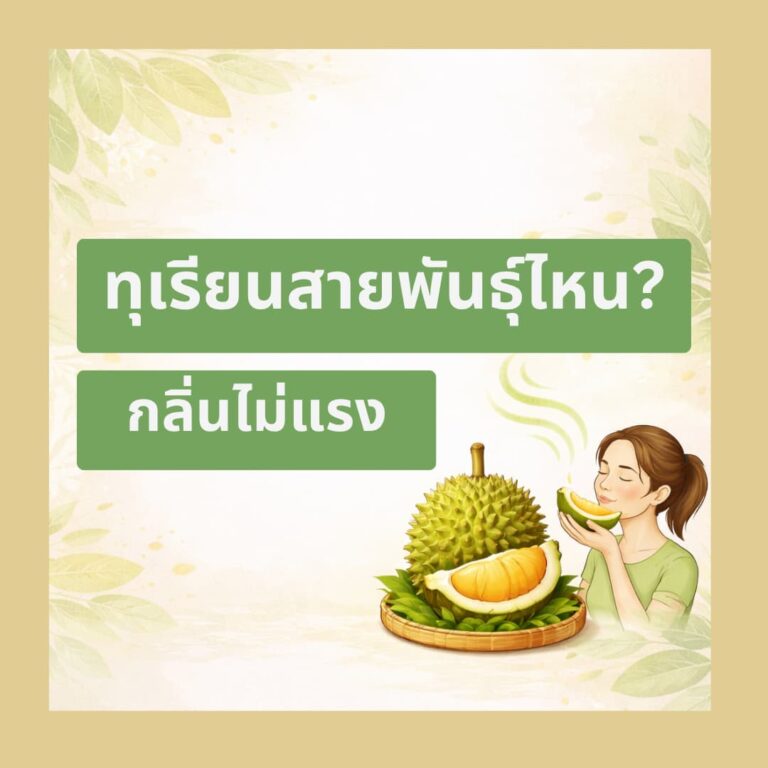 กลิ่นทุเรียน