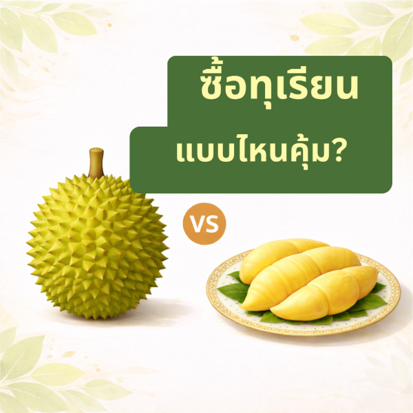 ซื้อทุเรียนแบบไหนคุ้มกว่ากัน