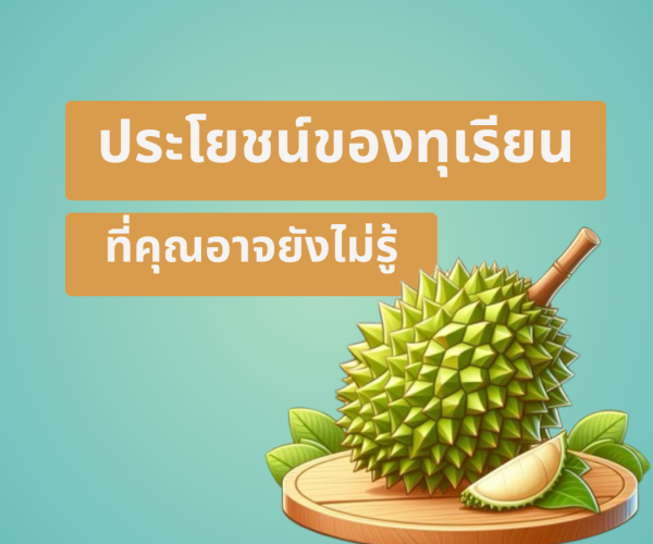 ประโยชน์ทุเรียน