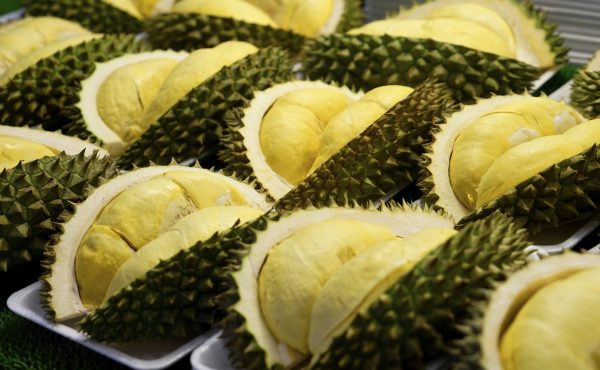 ทำไร่เกษตรครบวงจร ทุเรียน